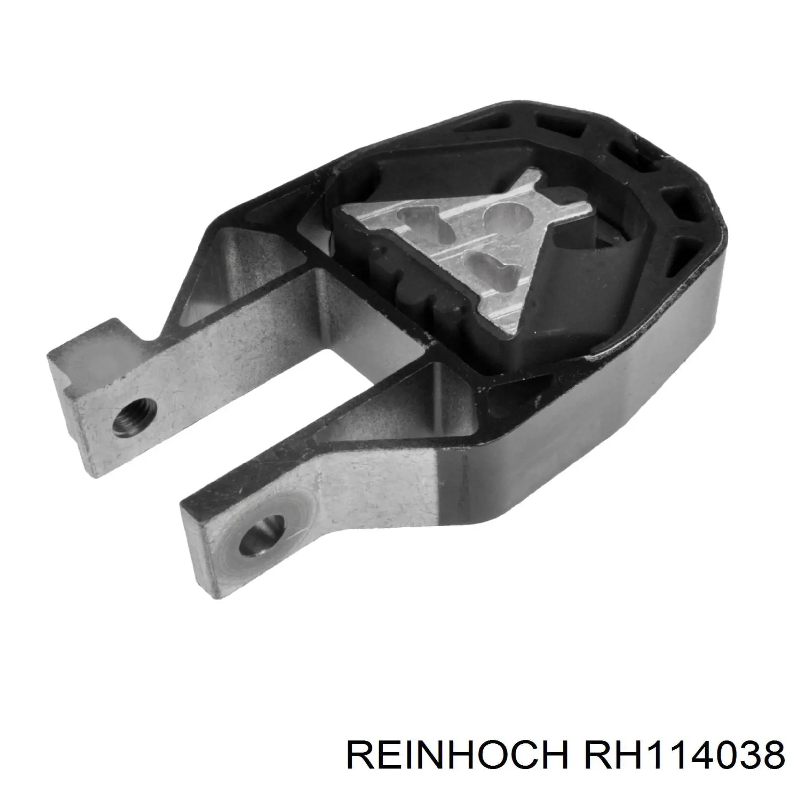 RH114038 Reinhoch