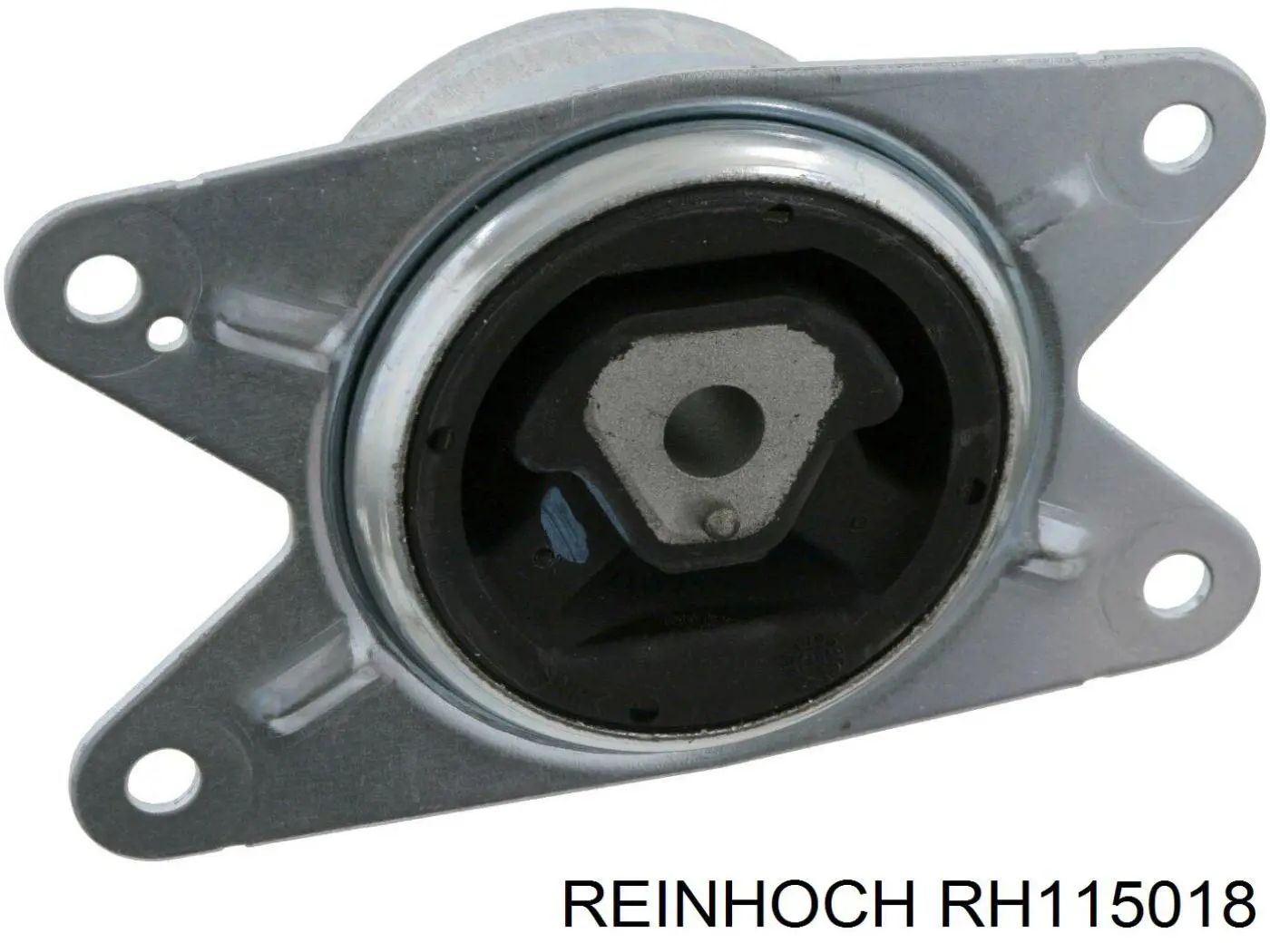  RH115018 Reinhoch