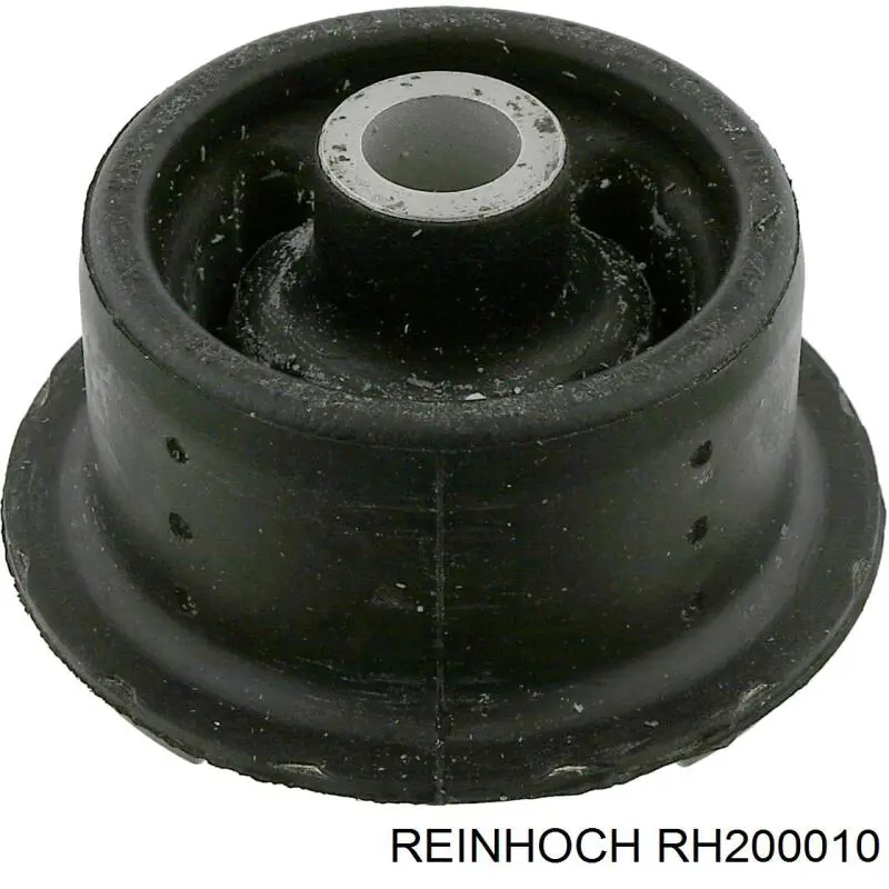 RH200010 Reinhoch