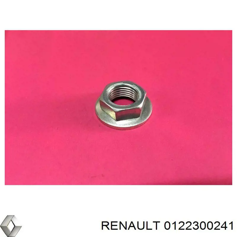  0122300241 Renault (RVI)