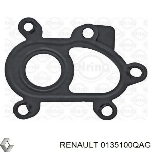 0135100QAG Renault (RVI) vedante de mangueira de derivação de óleo de turbina