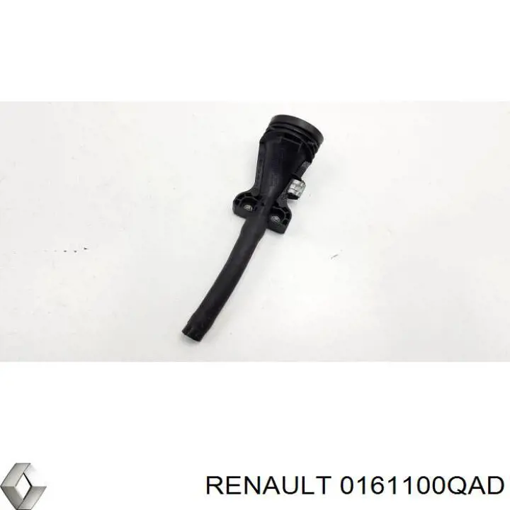 0161100QAD Renault (RVI)
