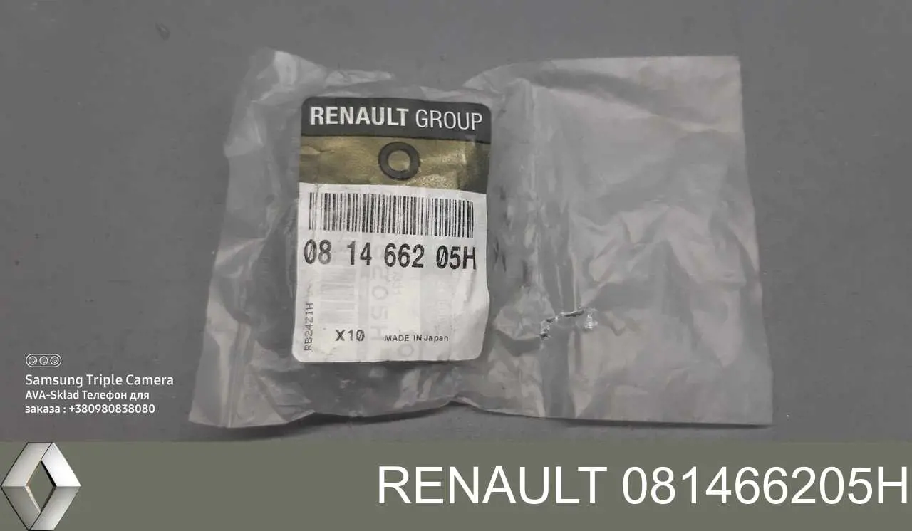  081466205H Renault (RVI)