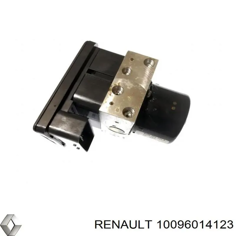  10096014123 Renault (RVI)