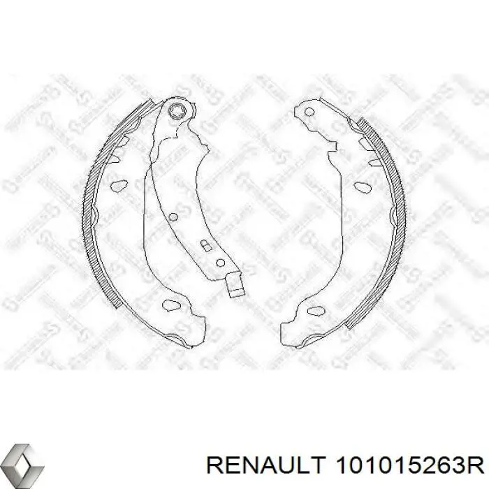  101015263R Renault (RVI)