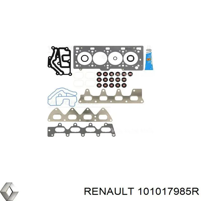 101017985R Renault (RVI)