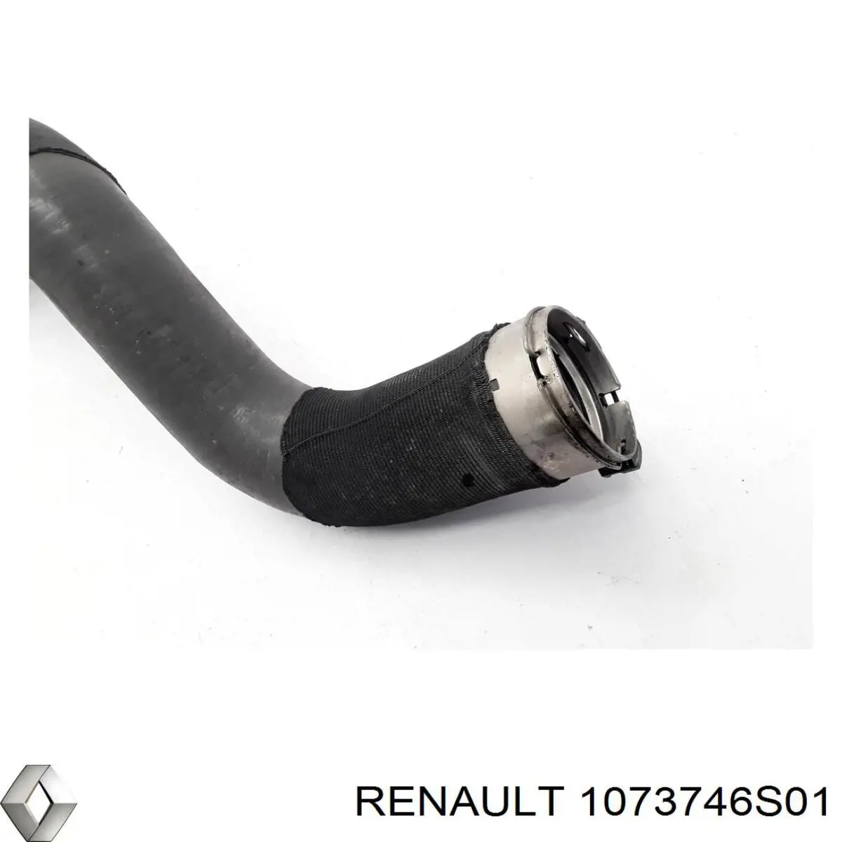 1073746S01 Renault (RVI) 