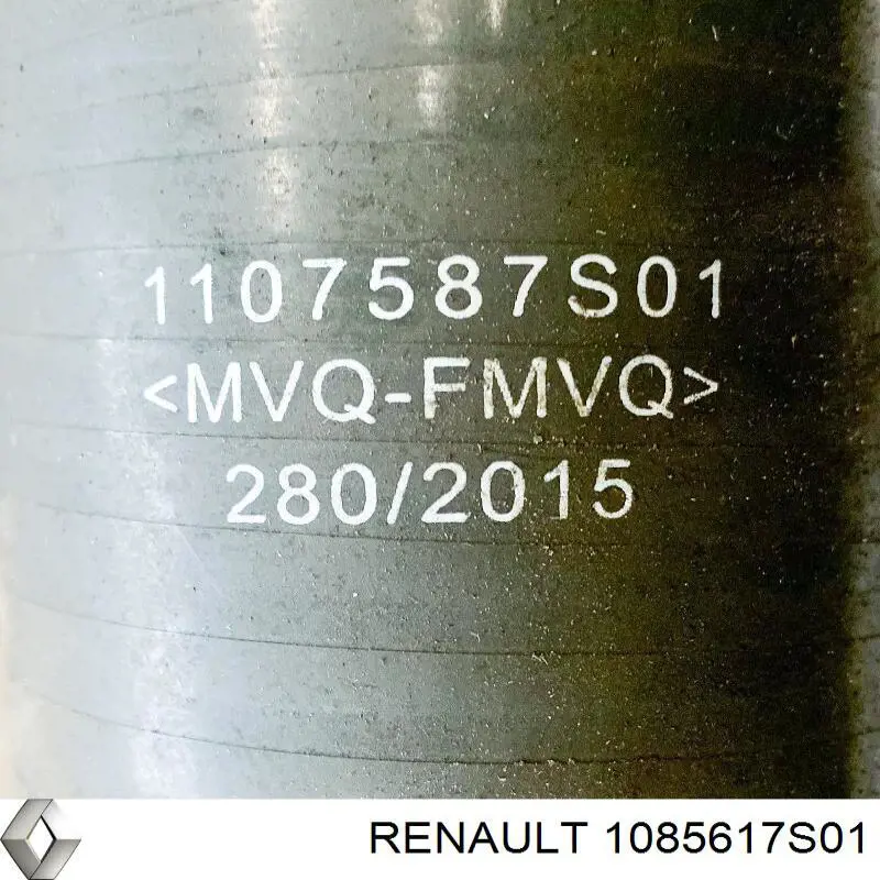Купить 1085617S01 Renault (RVI) 