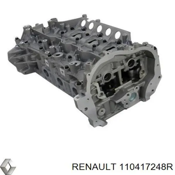 110417248R Renault (RVI)