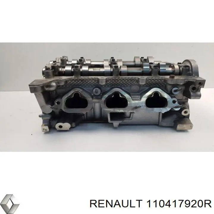 110417920R Renault (RVI) Головка блока цилиндров
