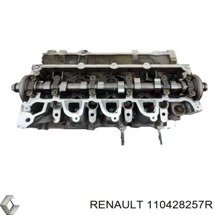  110428257R Renault (RVI)