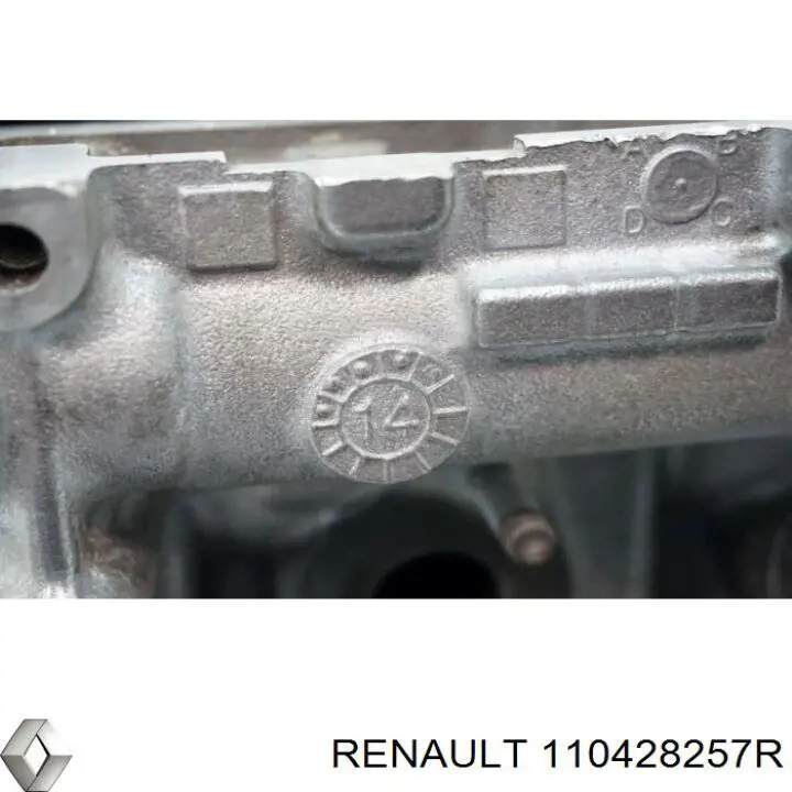 Головка двигателя Renault (RVI) 110428257R цена, от 191.38 USD