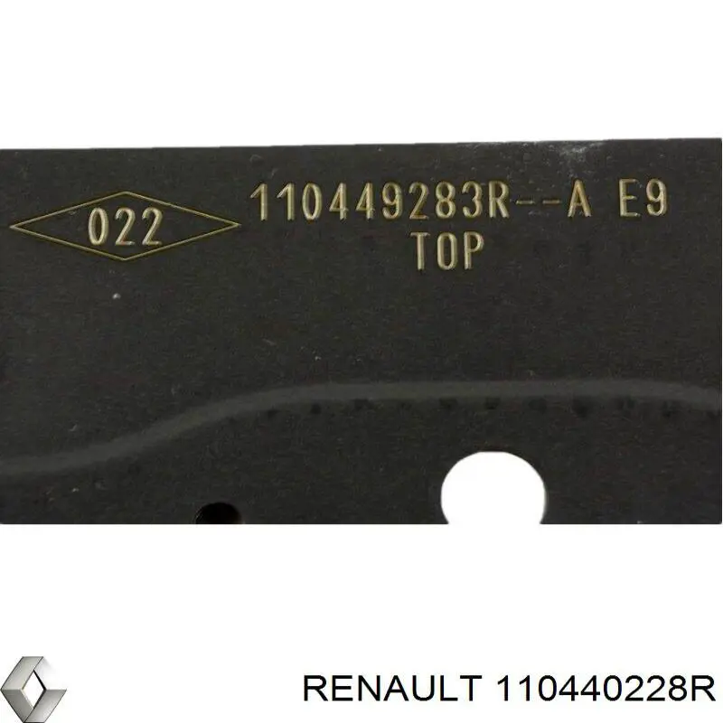 110440228R Renault (RVI) 