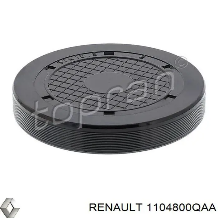 Крышка ГБЦ Renault (RVI) 1104800QAA цена, от 5.06 USD