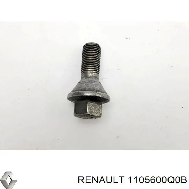 1105600Q0B Renault (RVI) болт гбц