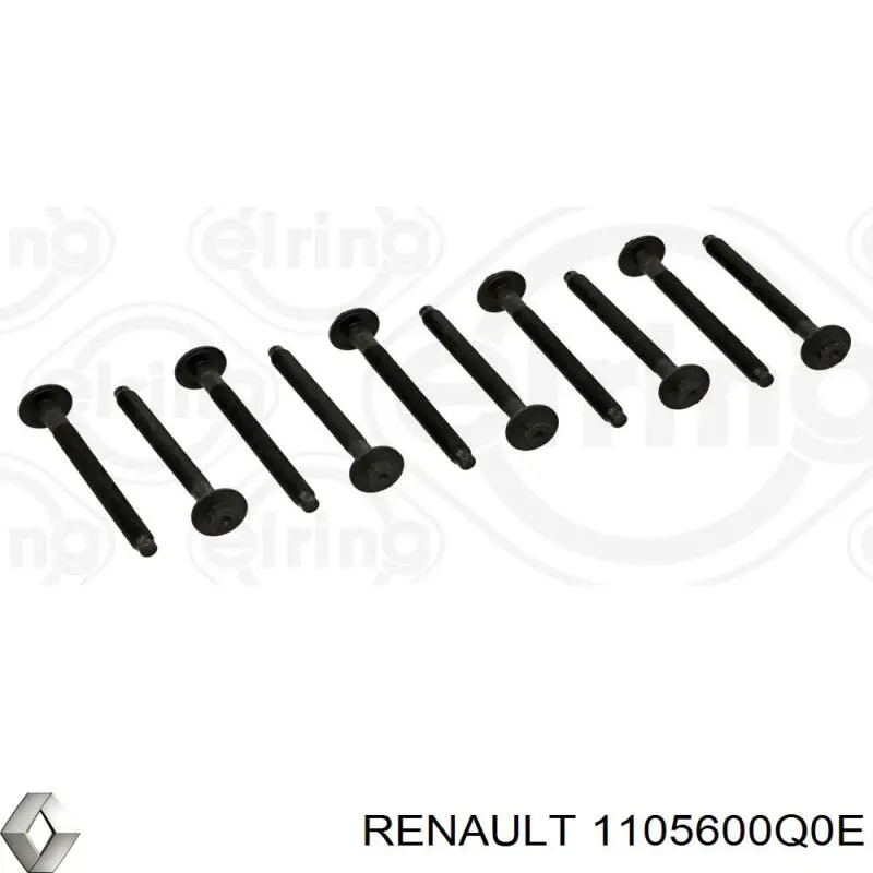 1105600Q0E Renault (RVI) parafuso de cabeça de motor (cbc)