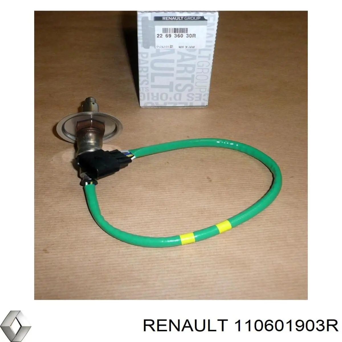  110601903R Renault (RVI)