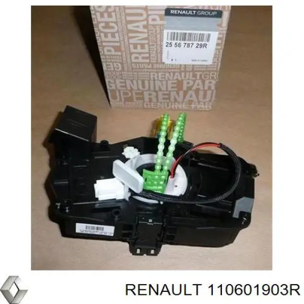  Renault (RVI) 110601903R