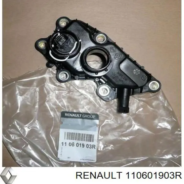 110601903R Renault (RVI) 