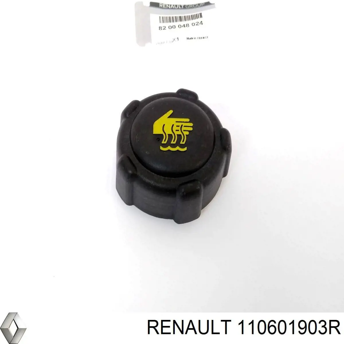 110601903R Renault (RVI) 