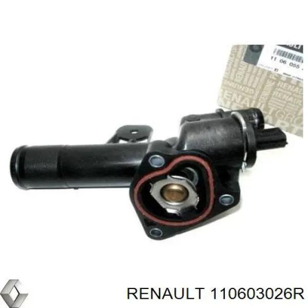 110603026R Renault (RVI)