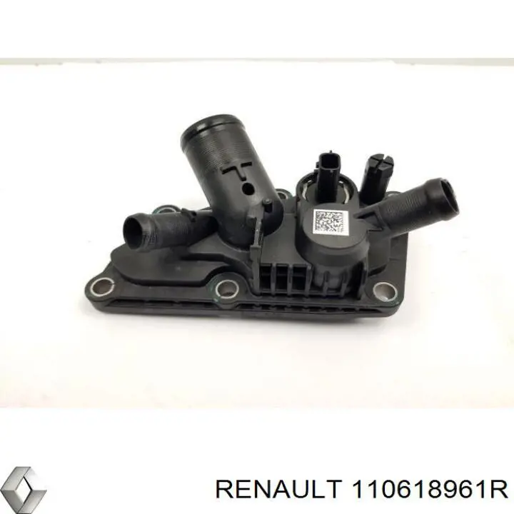  110618961R Renault (RVI)