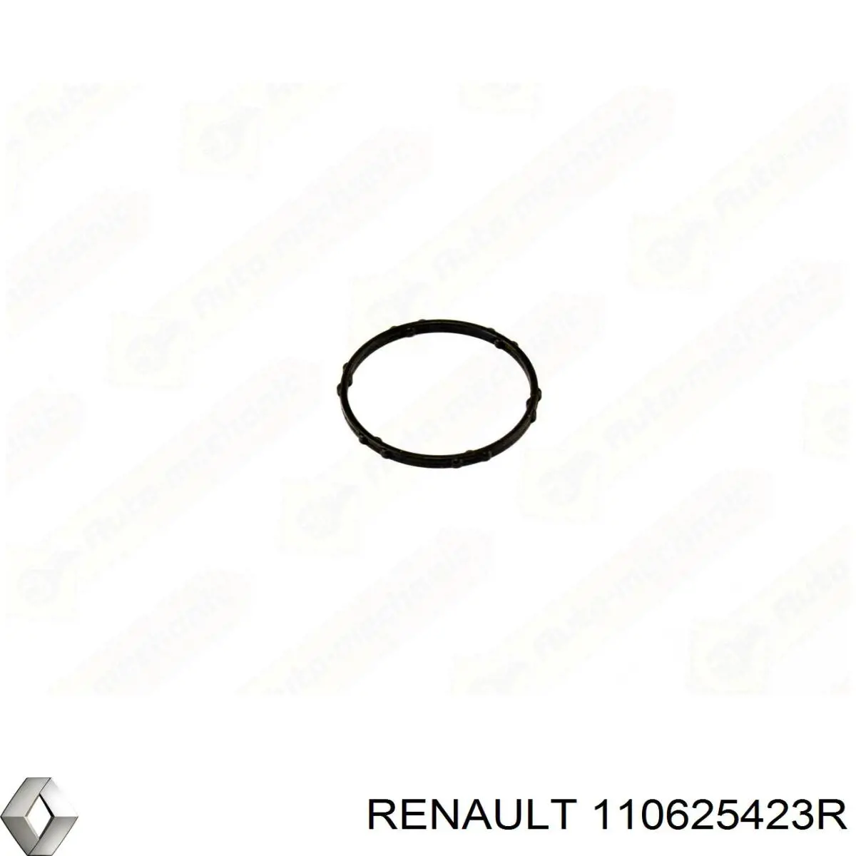 110625423R Renault (RVI) vedante de caixa do termostato