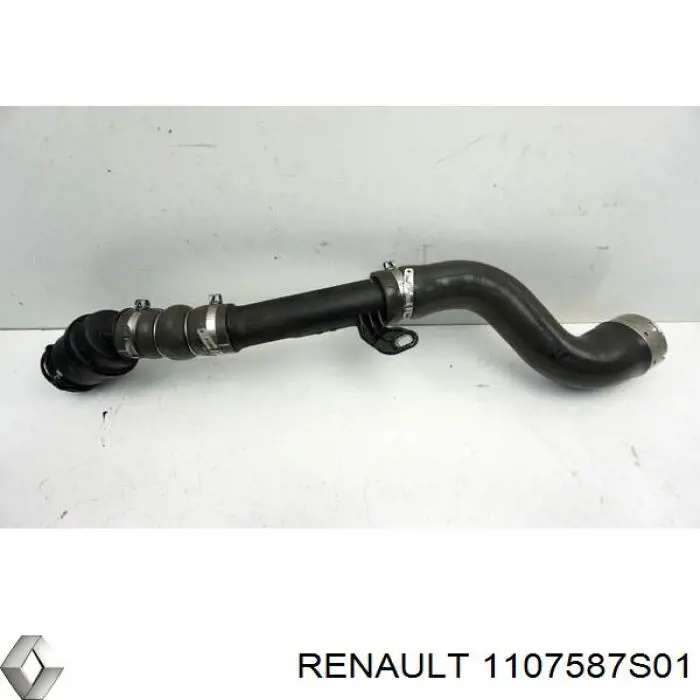 1107587S01 Renault (RVI) 