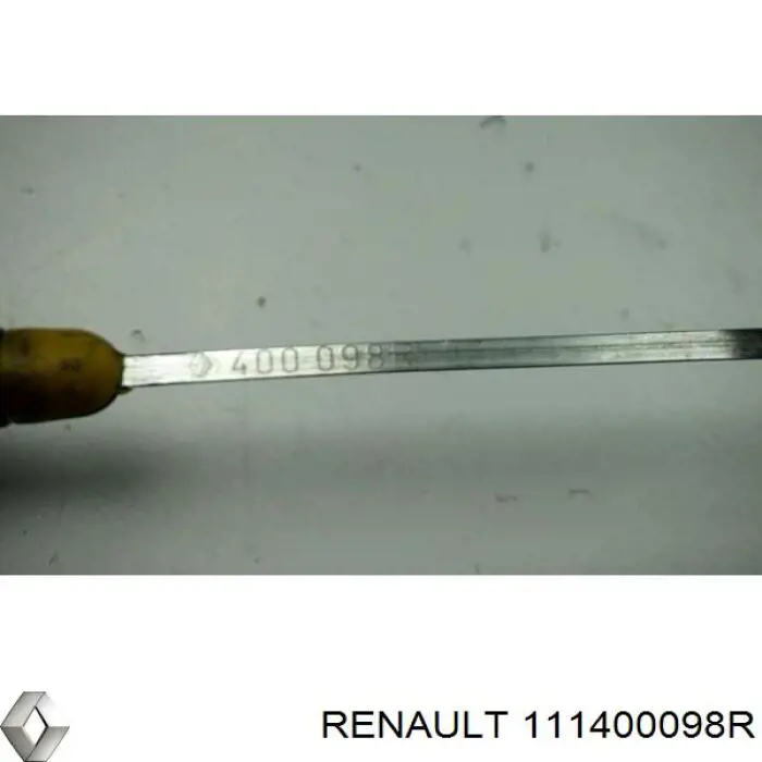 111400098R Renault (RVI) 