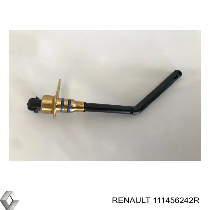 111456242R Renault (RVI) 