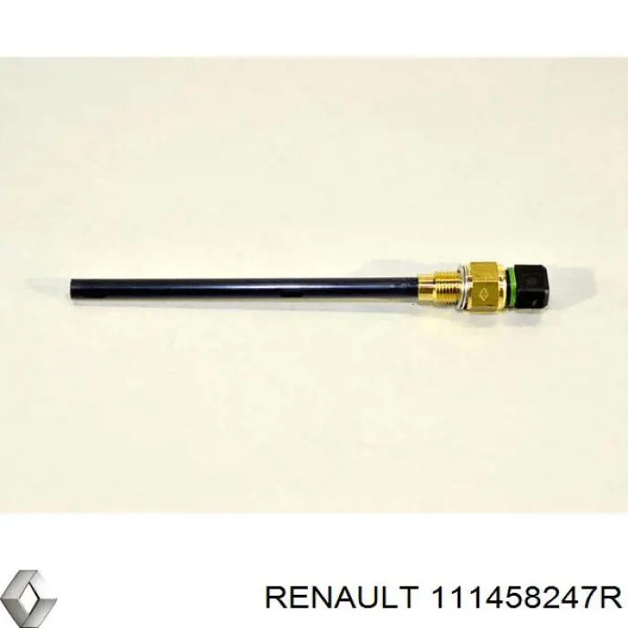 111458247R Renault (RVI) 