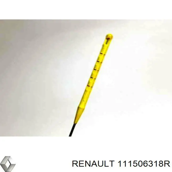 Купить 111506318R Renault (RVI) 