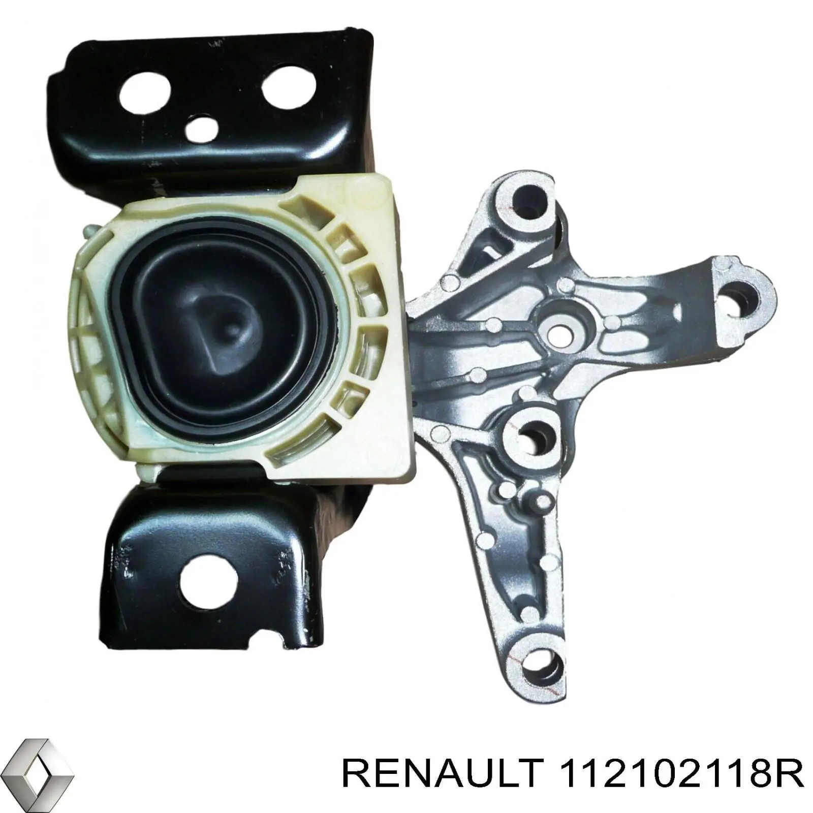112102118R Renault (RVI) 