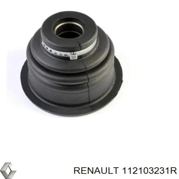112103231R Renault (RVI) 