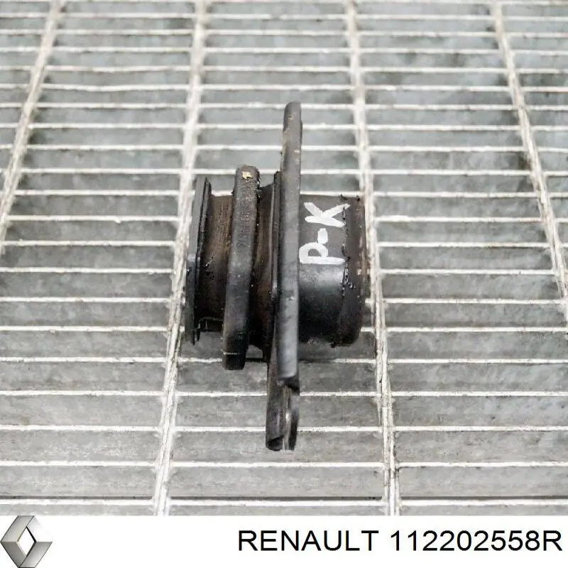 112202558R Renault (RVI)