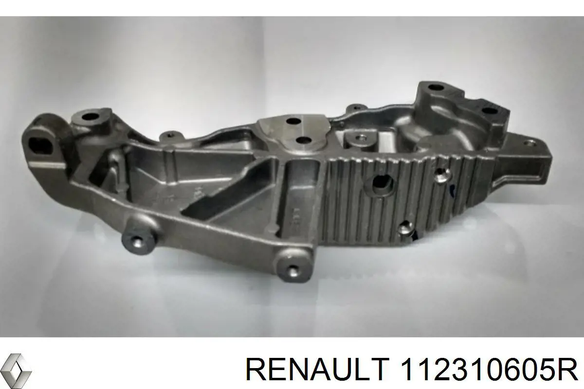 112310605R Renault (RVI) 