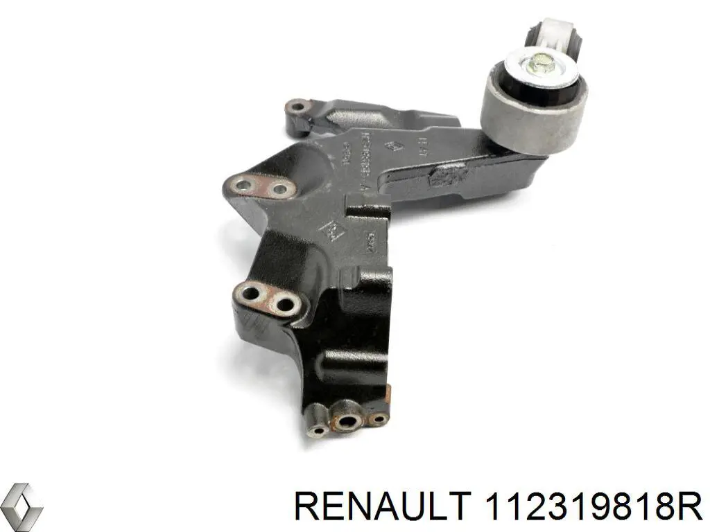 112319818R Renault (RVI) 