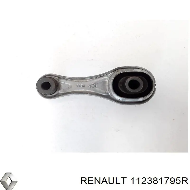 112381795R Renault (RVI)