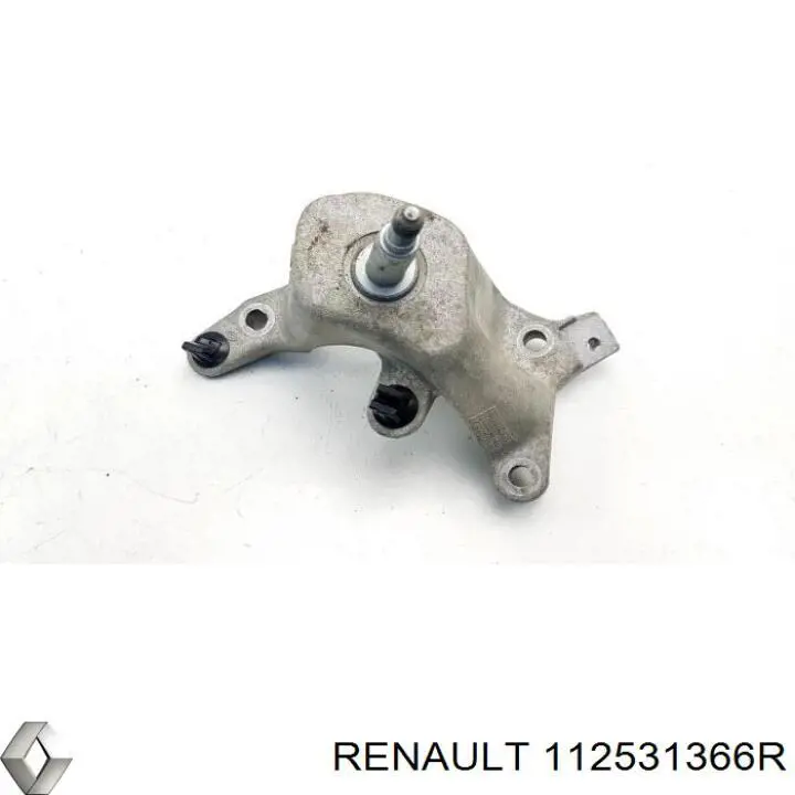  112531366R Renault (RVI)