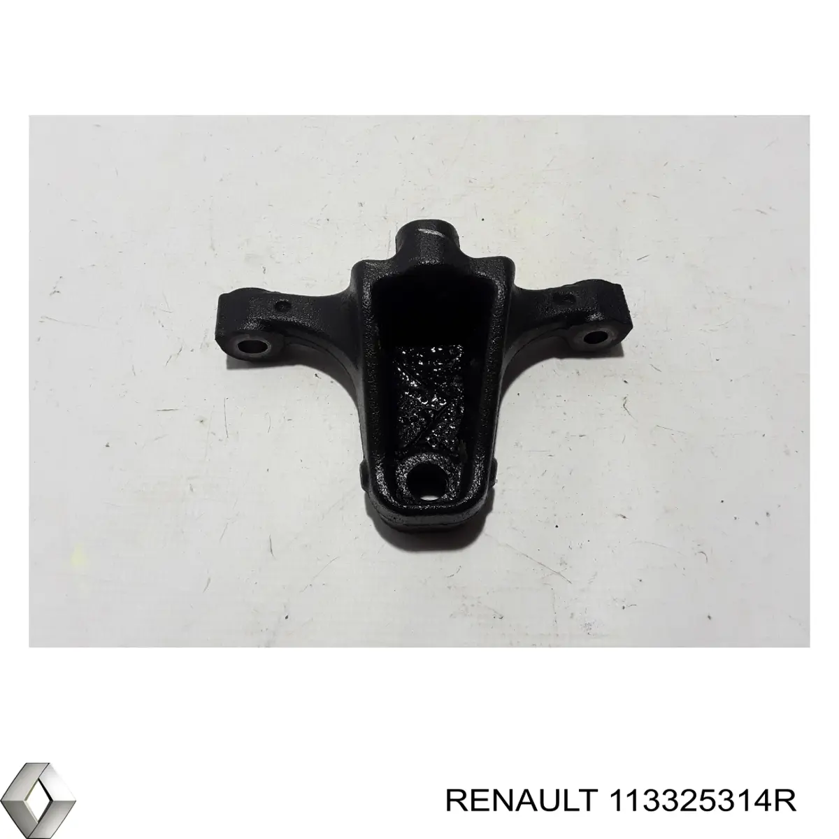 113325314R Renault (RVI) 