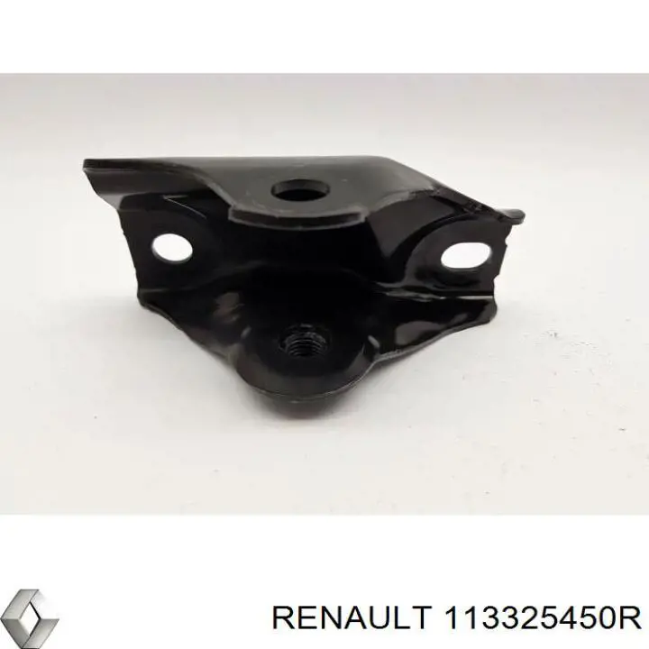  113325450R Renault (RVI)