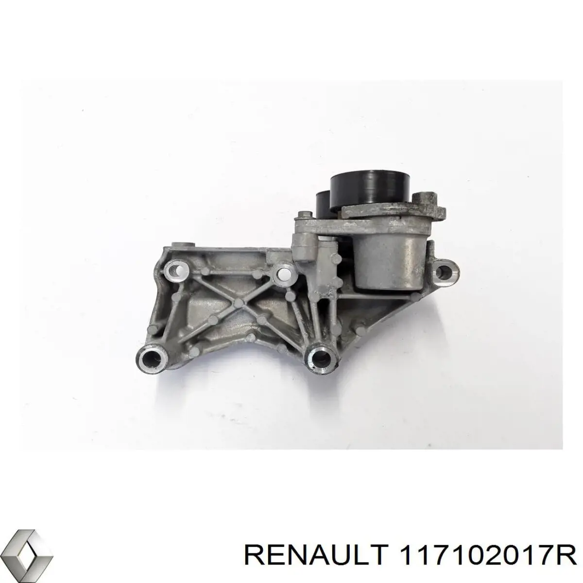 Купить 117102017R Renault (RVI) 