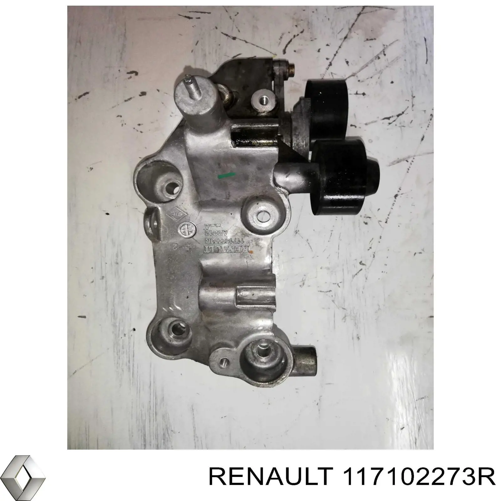  117102273R Renault (RVI)