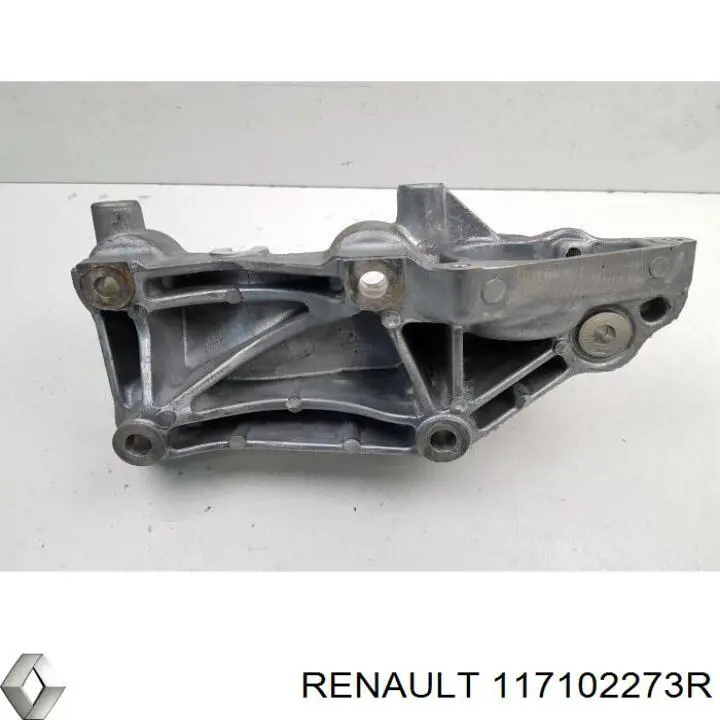 117102273R Renault (RVI) 