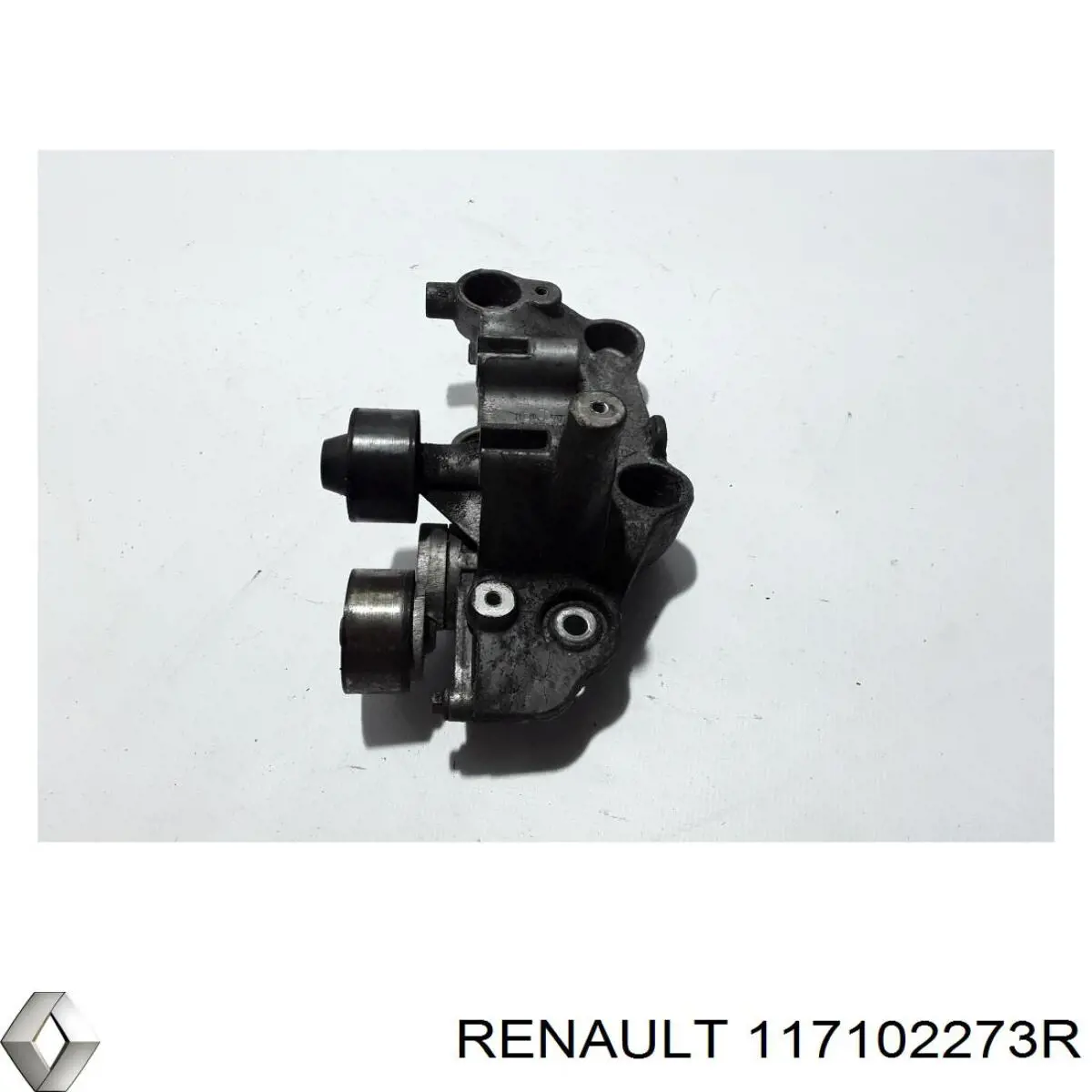  Renault (RVI) 117102273R цена, от 28.21 USD