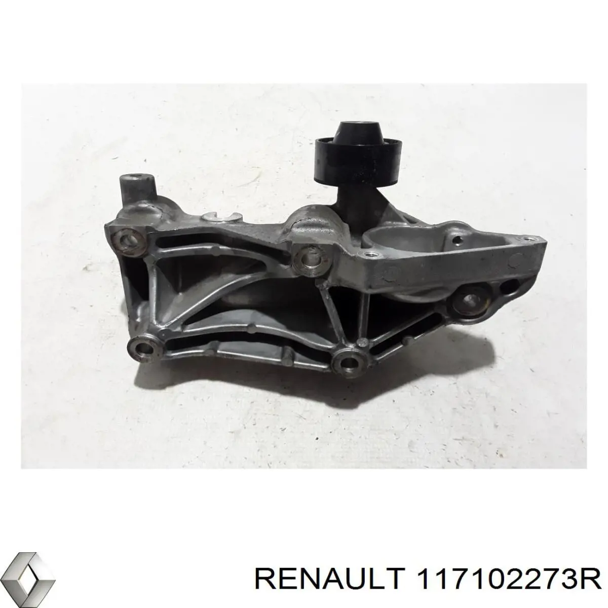 Купить 117102273R Renault (RVI) 