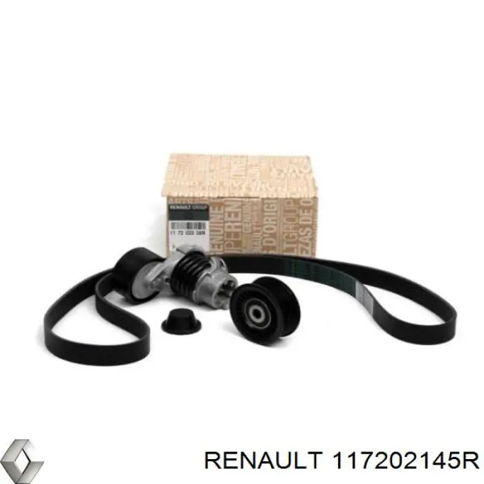 Приводной ремень агрегатов Renault (RVI) 117202145R