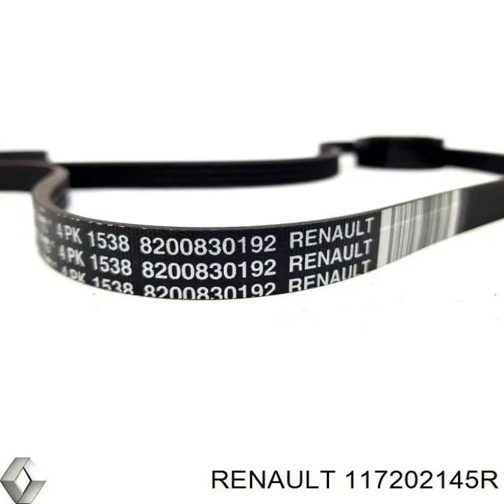 117202145R Renault (RVI) Ремень приводной, комплект