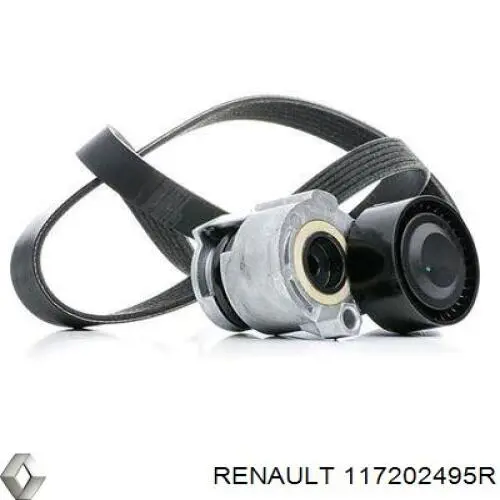 117202495R Renault (RVI) ремень агрегатов приводной, комплект