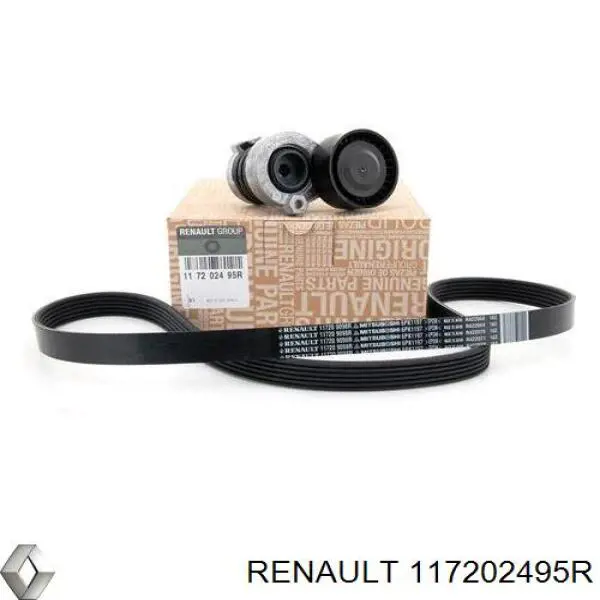117202495R Renault (RVI)